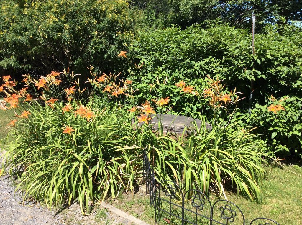 罗登露露和卢丹之家旅馆住宿加早餐旅馆 外观 照片